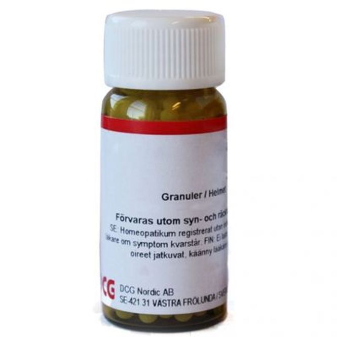 Hovedbilde Mezereum D6 20 gram piller